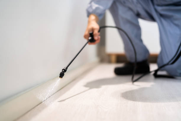 Bed Bug Pre-Treatment Preparation Assessment in Jackson