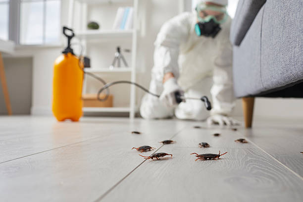 Post-Treatment Bed Bug Interceptor Monitoring in Jackson